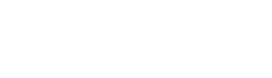Bonn Consulting Group GmbH