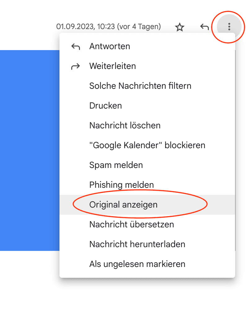 Screenshot einer E-Mail-Option in einem Online-Mail-Client, die zeigt, wie man das Original einer Nachricht anzeigen lassen kann, markiert mit einem Kreis.